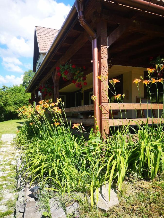 Parkside Vila Odorheiu Secuiesc Zewnętrze zdjęcie